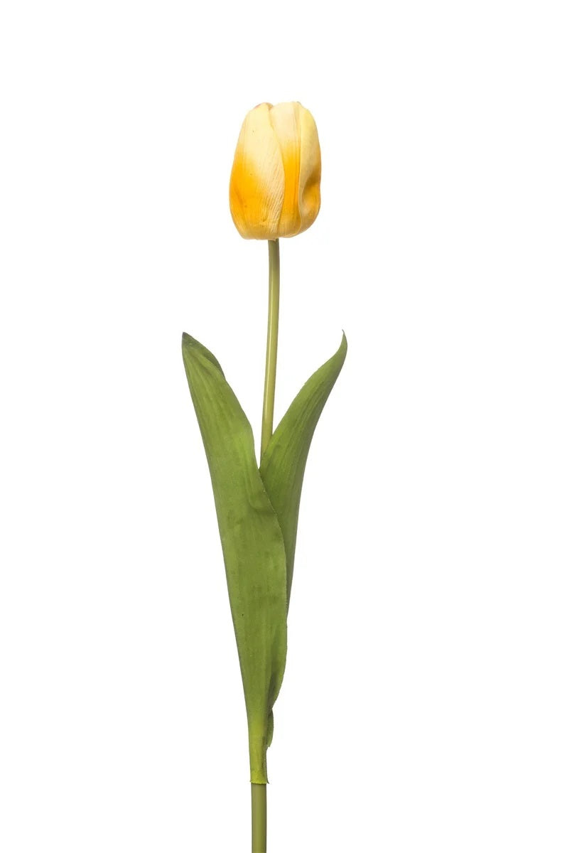 Tulipano Aperto Giallo 55 Cm