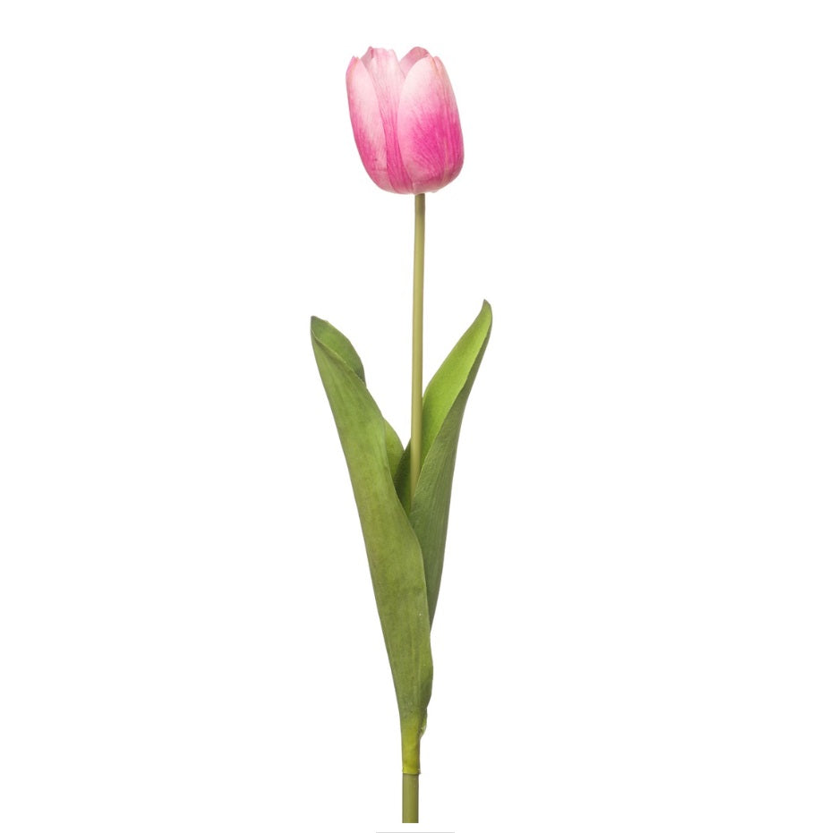 Tulipano Aperto Rosa 55 Cm