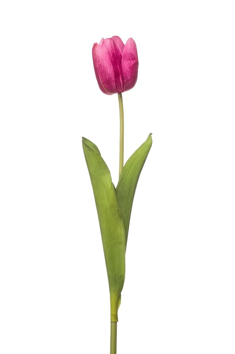 Tulipano Aperto Viola 55 Cm