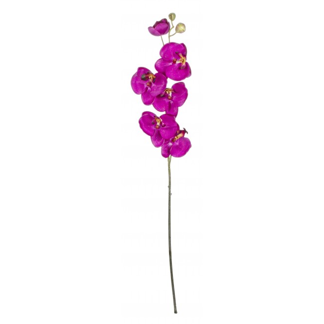 Orchidea Viola 66 Cm