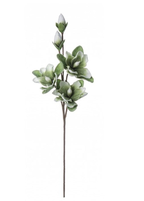 Ramo Magnolia Bocciolo Verde 95 Cm