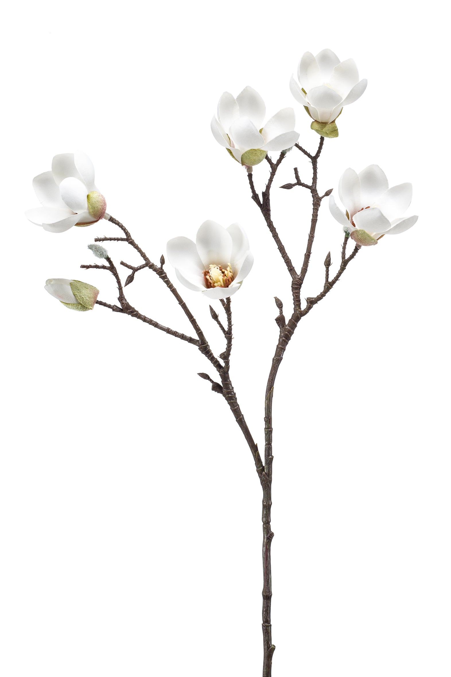 Ramo Magnolia Crema 65 Cm
