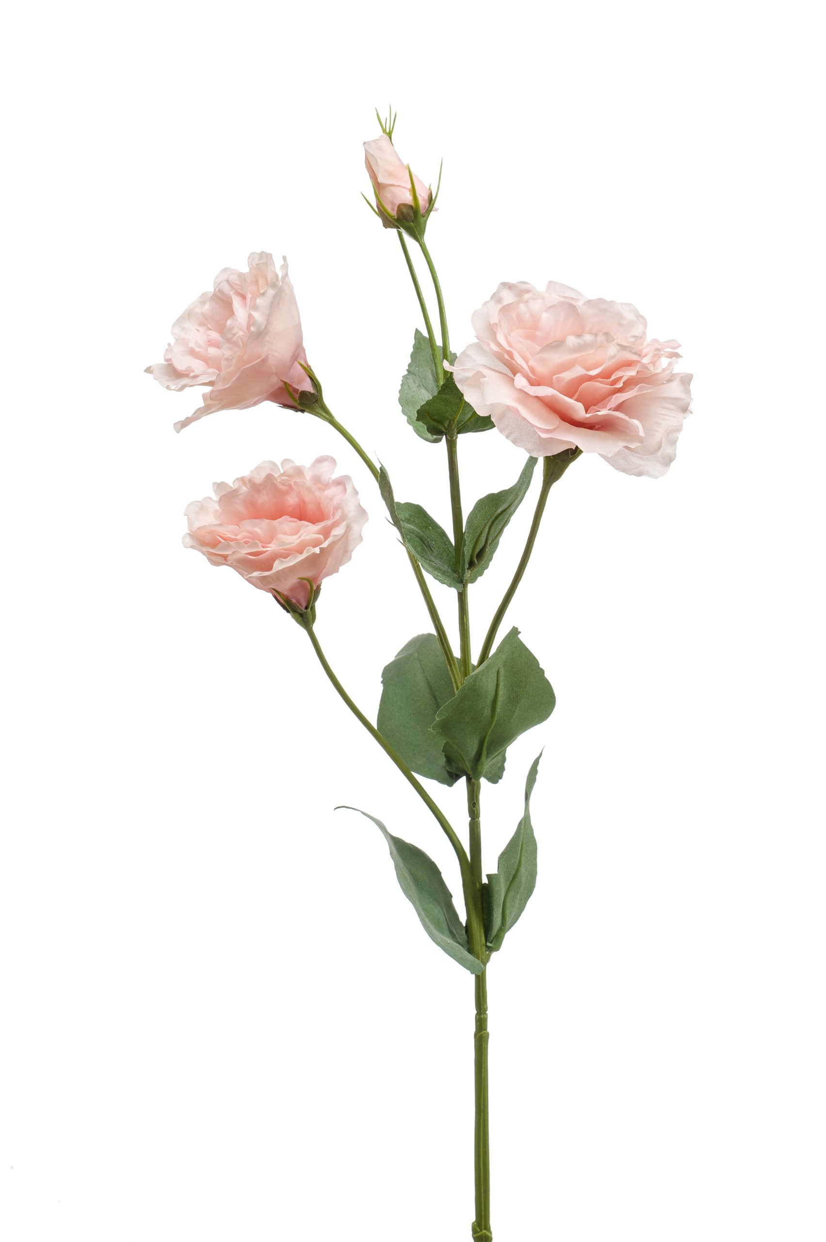 Fiore Eustoma Rosa 68 Cm