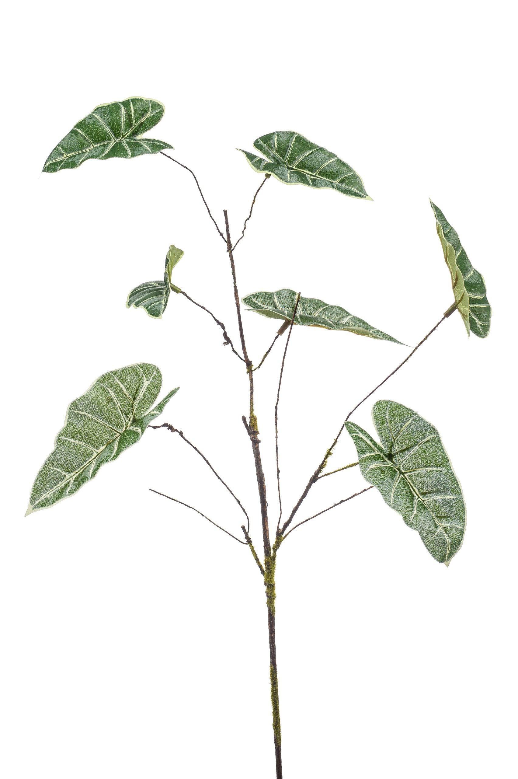 Ramo Anthurium Verde 66 Cm