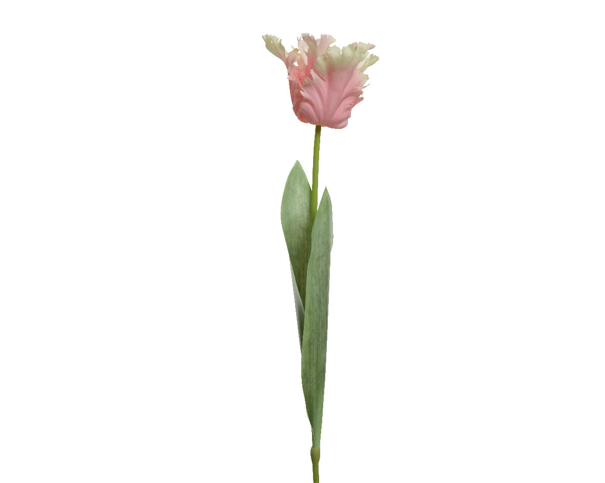 Tulipano Rosa 68 Cm