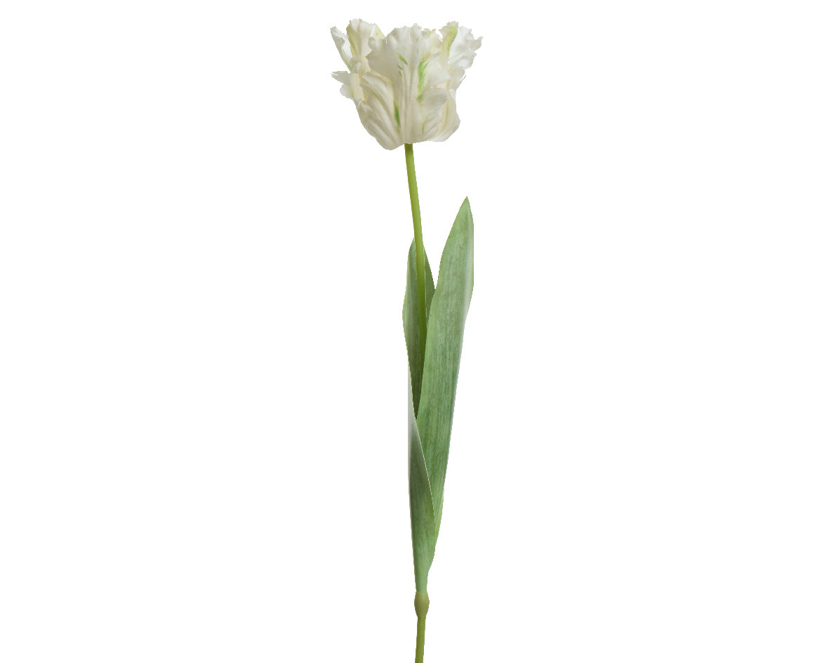 Tulipano Bianco 68 Cm