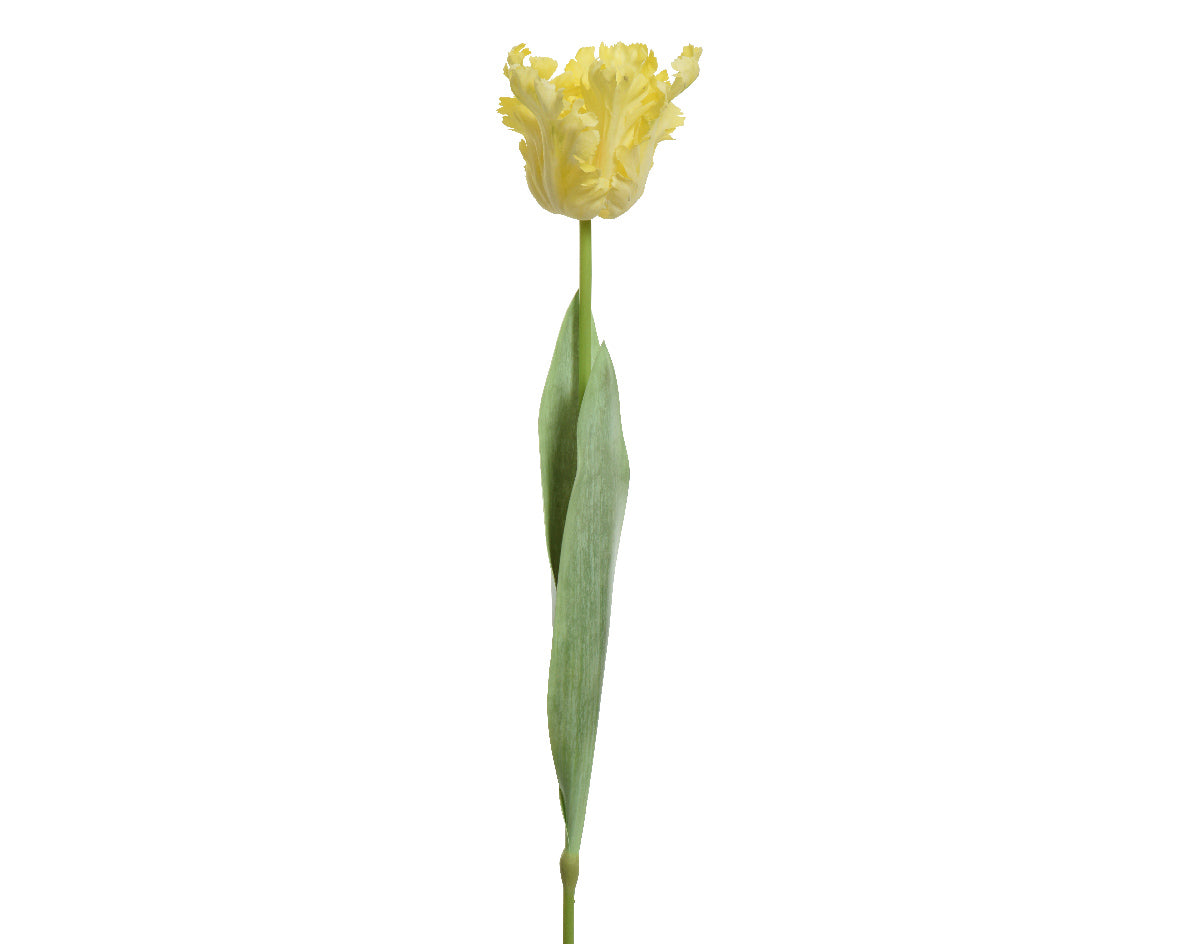 Tulipano Giallo 68 Cm