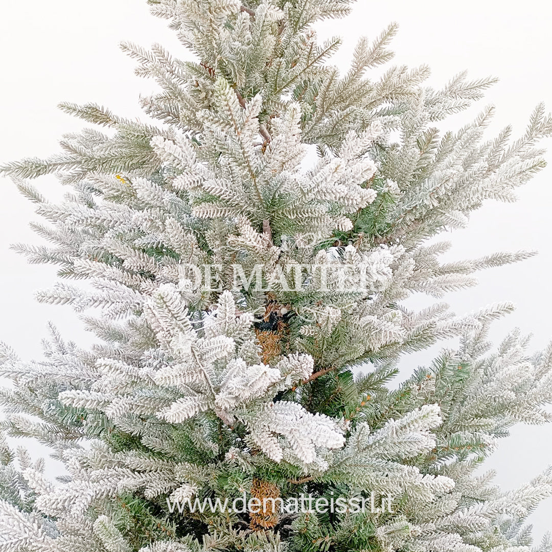 Albero Di Natale Snowy Norway Spruce 180 Cm