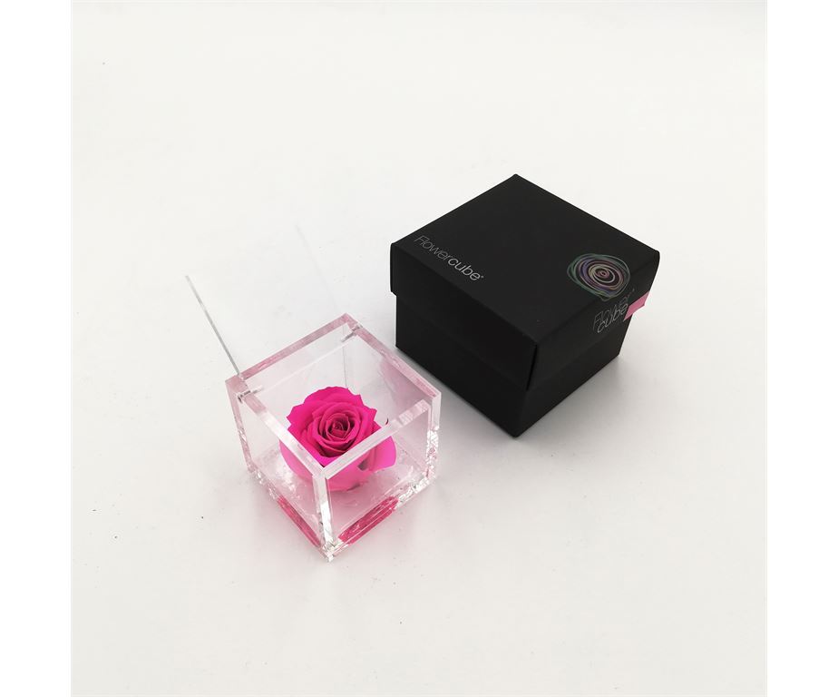 Rosa Stabilizzata Flowercube 6X6 Cm Fucsia
