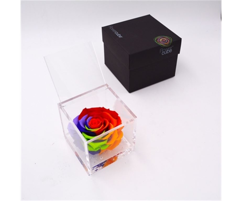 Rosa Stabilizzata Multicolor 6X6 Cm