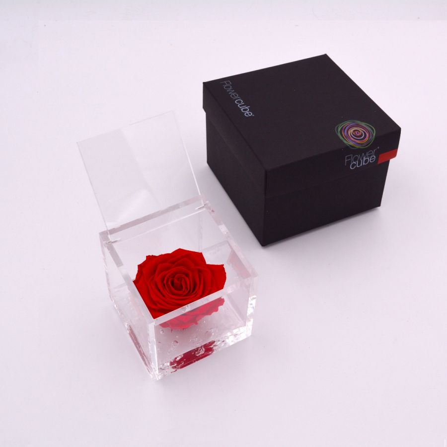 Rosa Stabilizzata 8X8 Cm Rosso
