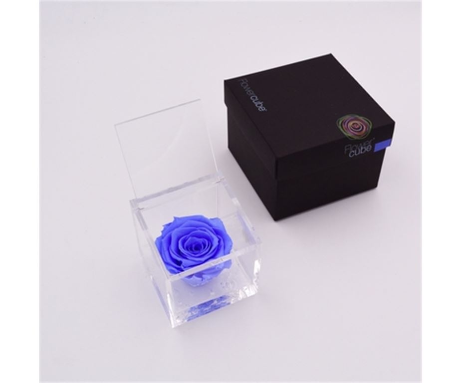 Rosa Stabilizzata Azzurro 8X8 Cm