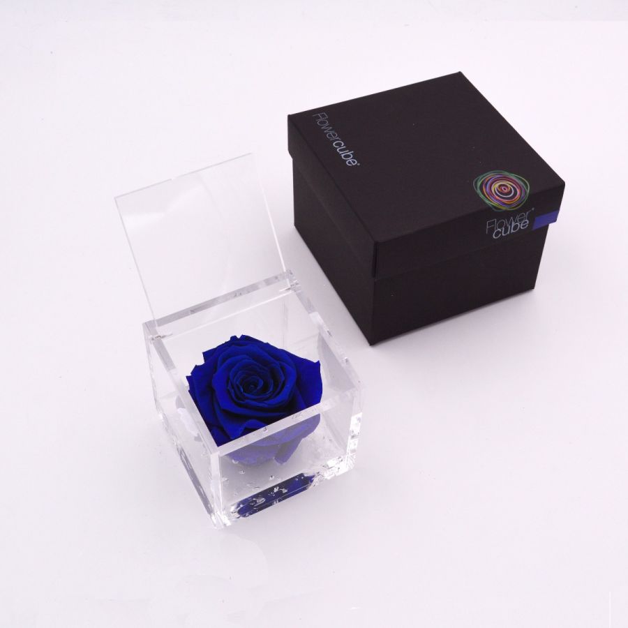 Rosa Stabilizzata Blu 8X8 Cm